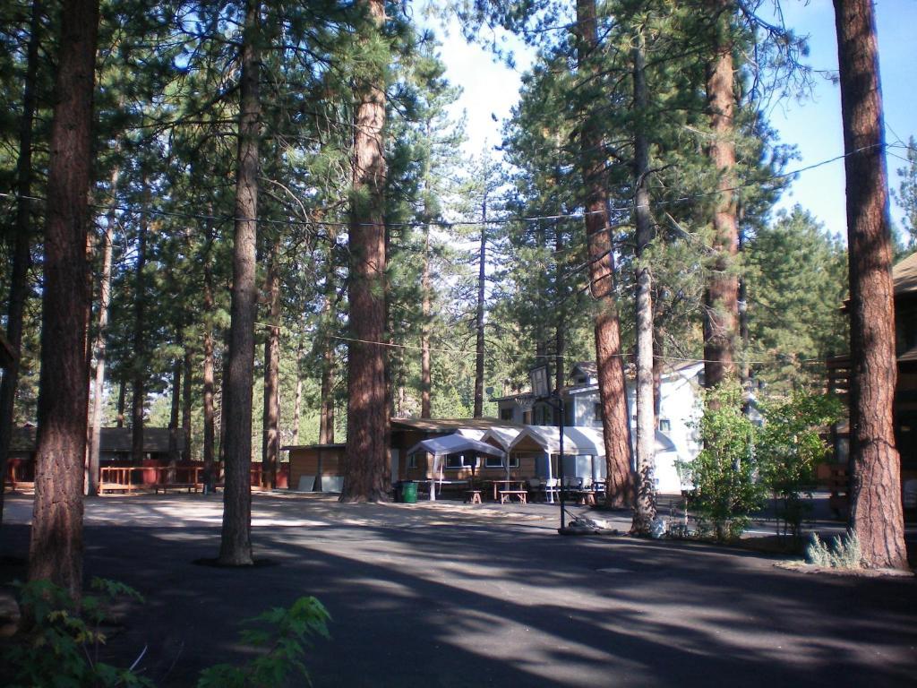 Majestic Moose Lodge - Coptic Villageビッグ・ベアー・レイク エクステリア 写真